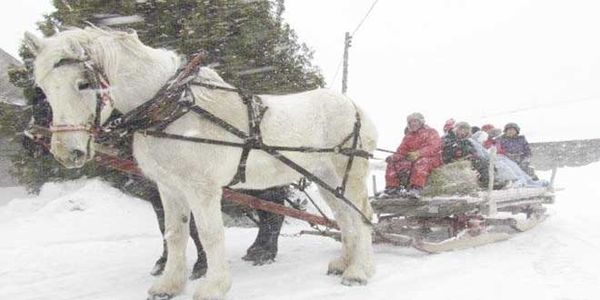 Community Living residents enjoy last days of winter with Prov Bay sleigh ride