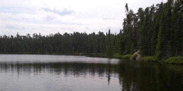 Ontario Saves Experimental Lakes Area