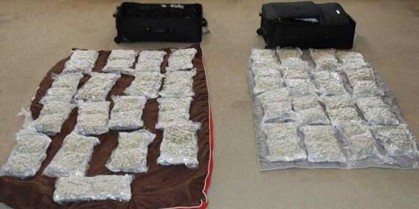 Parry Sound OPP seize 33 pounds of marijuana