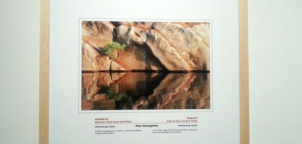 Manitowaning photographer’s work on  display at the Canadian Museum of Nature