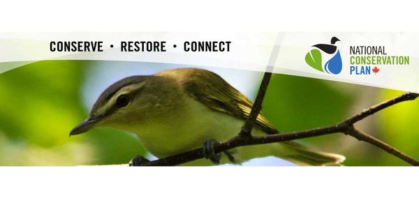 National Conservation Plan needs to go one step further, says Island reeve