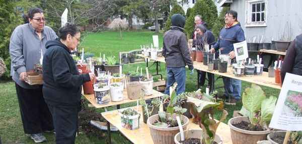 United Church Mothers’ Day plant sale a blooming success