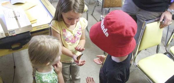 Bugs are the name of the game at Batman’s Bugfest