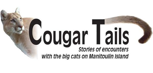 Cougar Tails