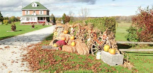 Register this week for Harvest Glory Days