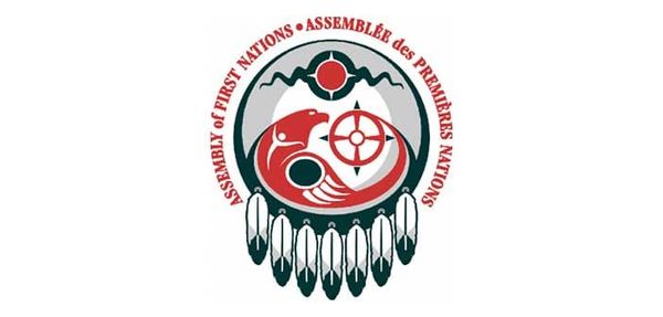 Bellegarde elected National Chief of Assembly of First Nations