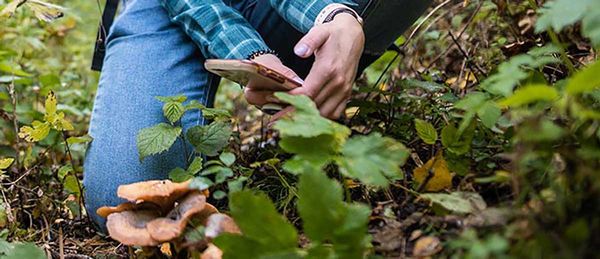 Backyard BioBlitz a fun way to observe nature in your own backyard while contributing to science
