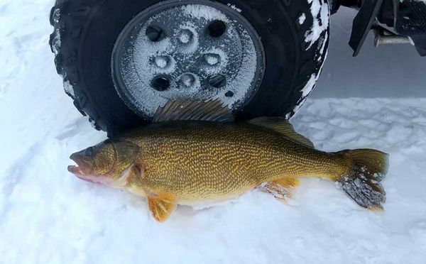 Get Reel in the North – The great equalizer