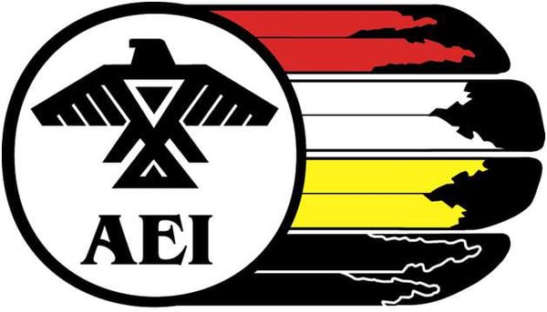 Anishinabek Nation chief reelected