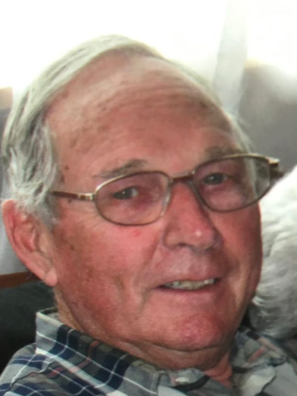 DAVID LEWIS AUSTIN