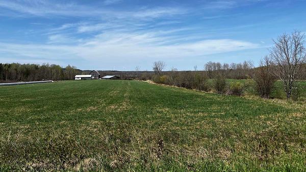 Tribunal awards costs in Green Bay farmland  neighbours’ dispute  to defendant farmers