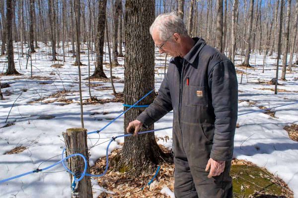 Max Burt implements off-grid system to semi-automate the syrup-making process