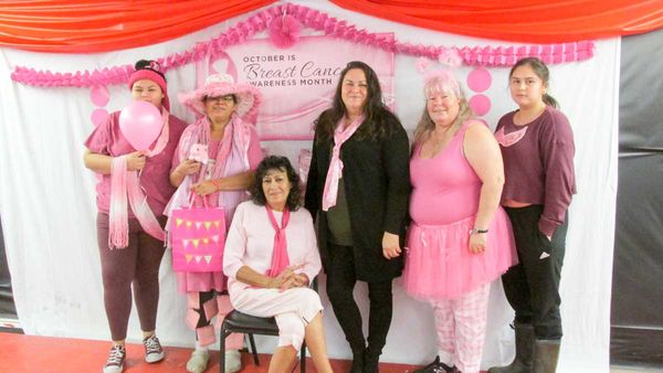 First annual breast cancer walk fundraiser held in Zhiibaahaasing