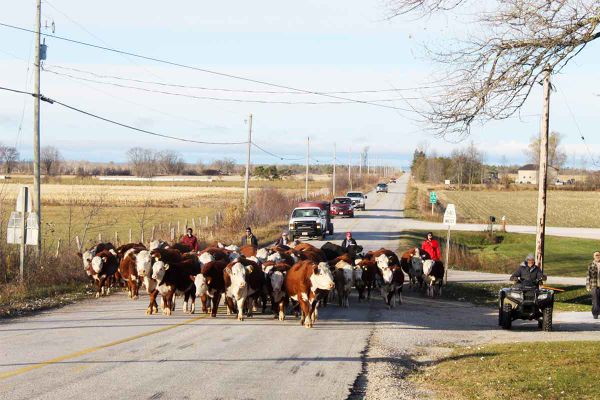 Head ‘em up, move ‘em out!