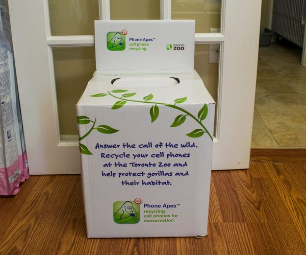 Island veterinarian hosts tech recycling program in partnership with Toronto zoo