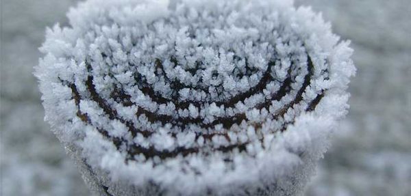 Record cold February for Island