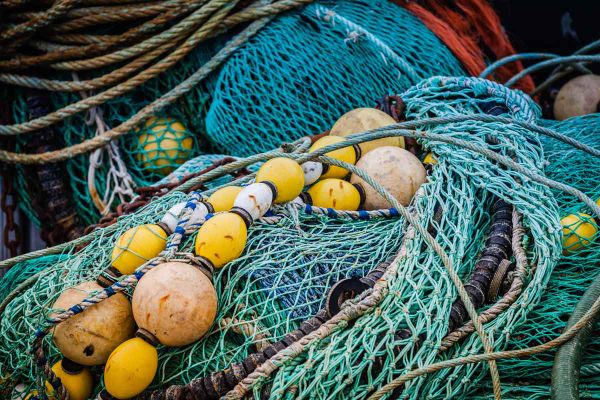 Great Lakes Fishery Commission pans proposal to establish marine parks