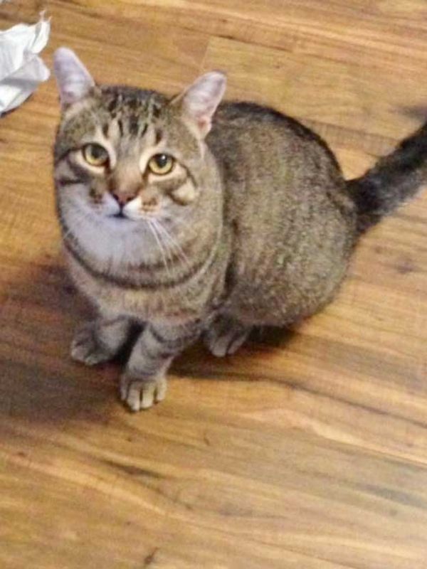 Connell is still looking for a home.  