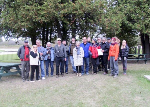 Manitoulin Nature Club embarks on sandhill crane watching outing