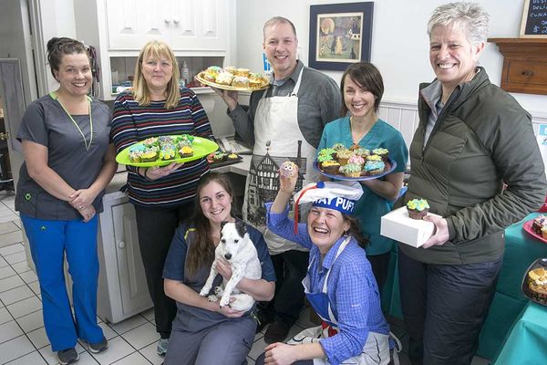 Cupcake fundraiser a sweet success for Island Animal Hospital Stray Animal Fund