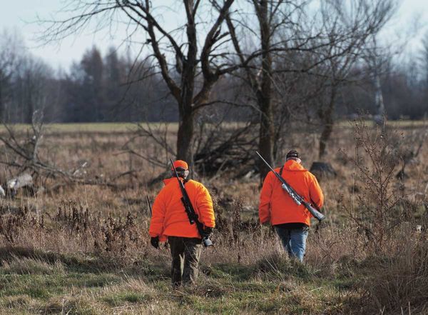 A recommendation from the annual deer management meeting to see deer tags raised for 2023 will be brought to the Ministry of