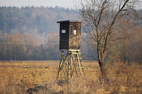 Ingersoll man fined $2,500 in provincial court on deer hunting charges