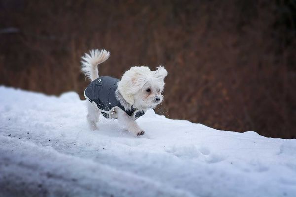 Baby, It’s Cold Outside!