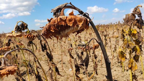 Regional climate change report suggests Manitoulin faces unique climate issues
