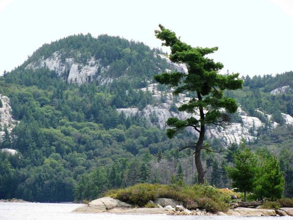 Group seeks to preserve Willisville Mt. for the public