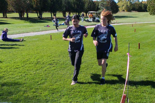 Plenty of champions to be found at the Island cross-country competitions