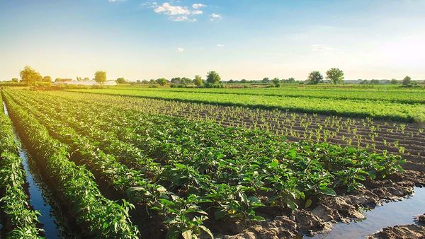 Ontario farmers group discuss farmland protection and housing concerns