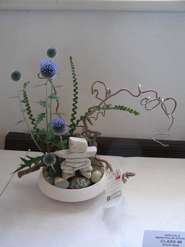 Campbell Horticultural Society hosts annual flower show