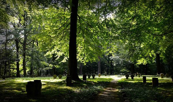 Local group needs landowner, provincial approval to carry out work on cemetery