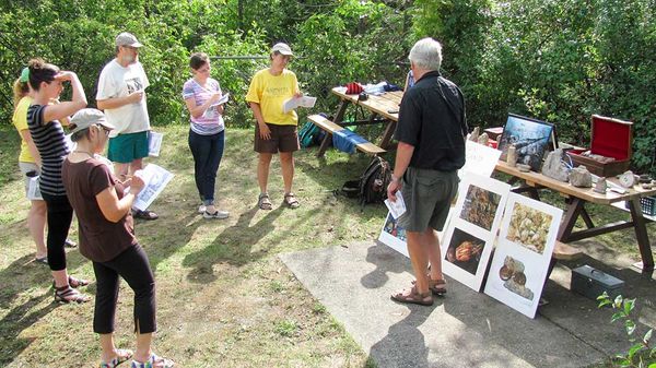 Manitoulin Island: a mecca for fabulous fossil finds