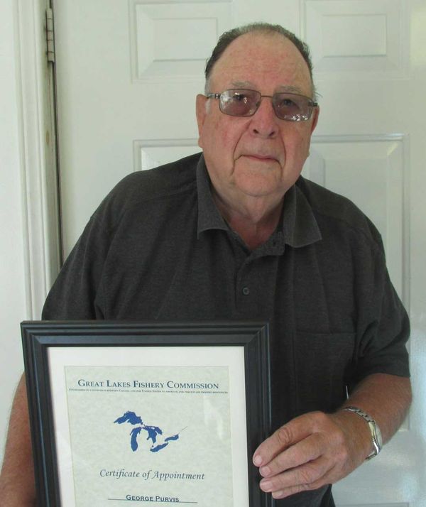 Cormorant, Fisheries Act concerns need to be addressed, says local rep