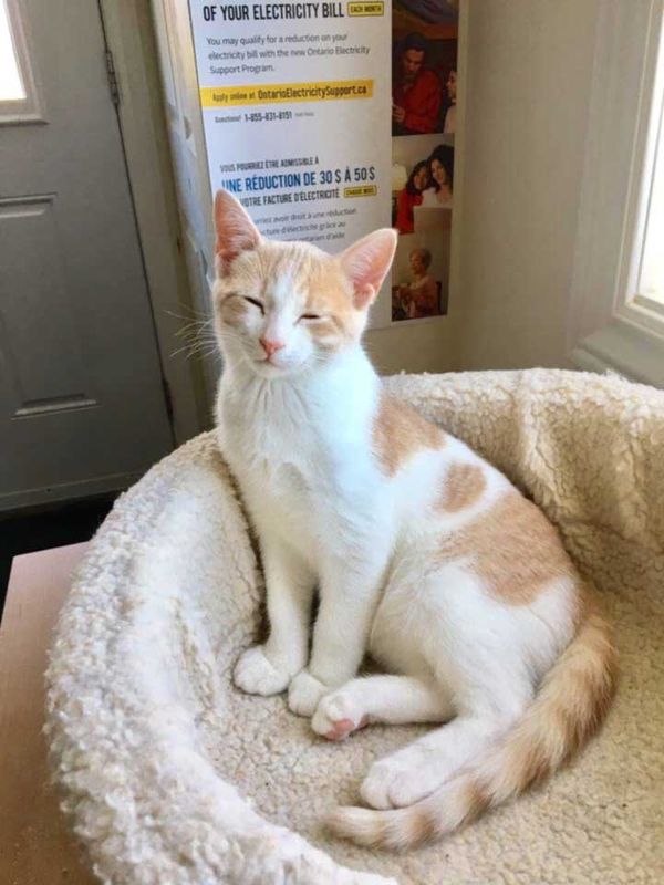 George is still looking for a home.