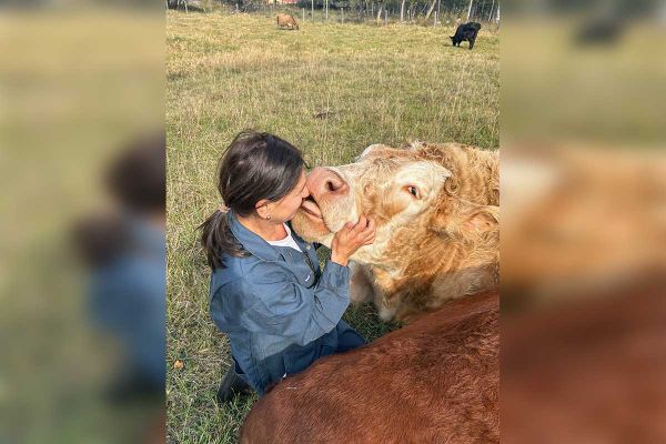 GLO Farm fundraiser raising funds for mobile vet clinic
