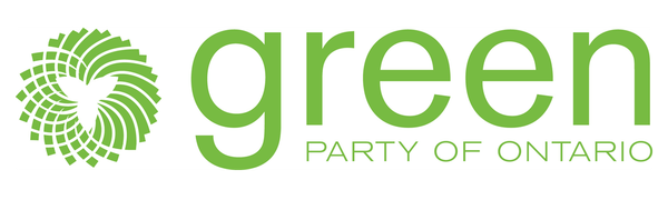 Green Party candiate Calvin Orok enters the race