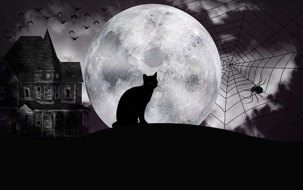 ???? So many ways to get your spook on this Hallowe’en