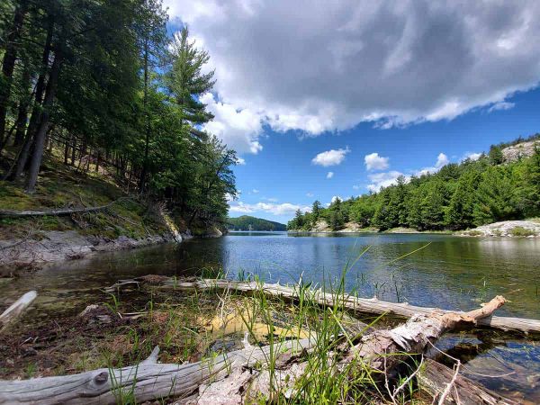 Landowner accepts EBC offer for Heaven’s Gate; 90 days to closing