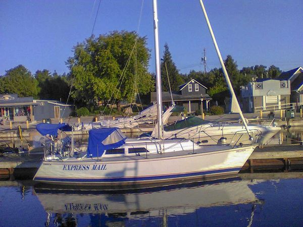 Heywood Bear continues to terrorize boaters