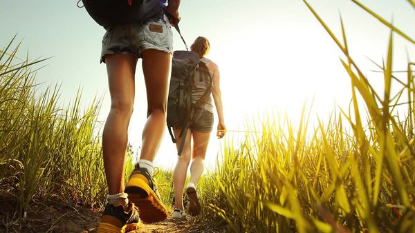 Escarpment Biosphere keeps Sheg hiking trail available for public use