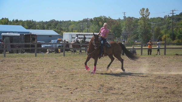 Assiginack Fall Fair Horse Show posted stellar results