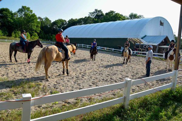 Veteran horse trainer takes riders back to the basics for better trust