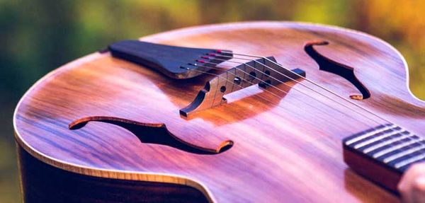 Kagawong luthier a master craftsman of exquisite musical instruments