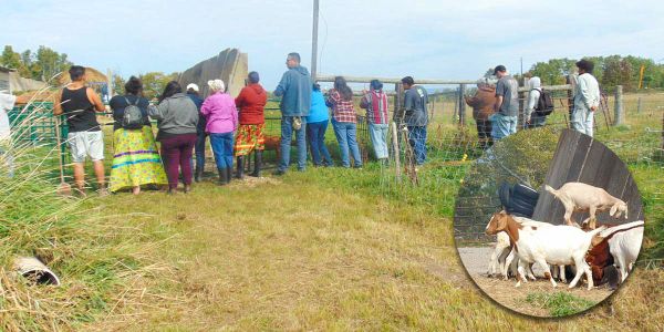 IAPO hosts farm tour on Manitoulin Island