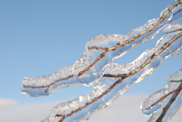 WEATHER WARNING: Freezing rain warning in effect
