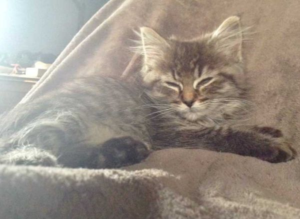 Jenna is looking for her forever home