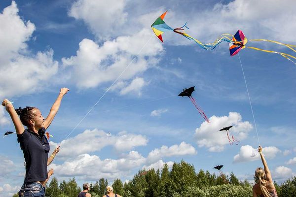 Kite festival flying high