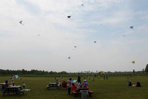 Go fly a kite
